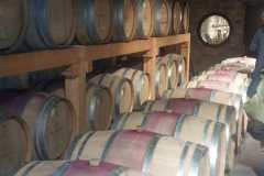 IMG-20250518-WA0020